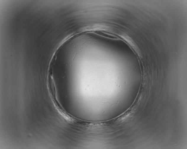 X0000074020850200609181859