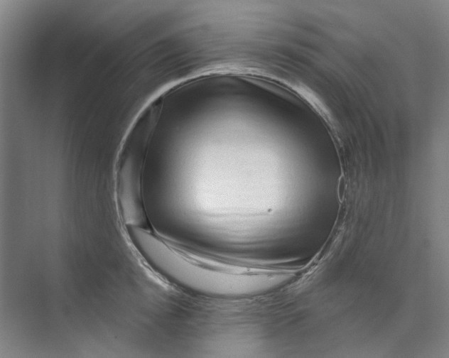 X0000074020854200609181859