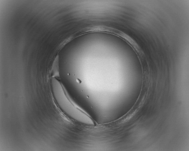 X0000074020857200609181859