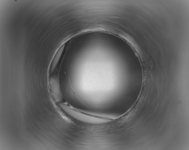 X0000074020858200609181859