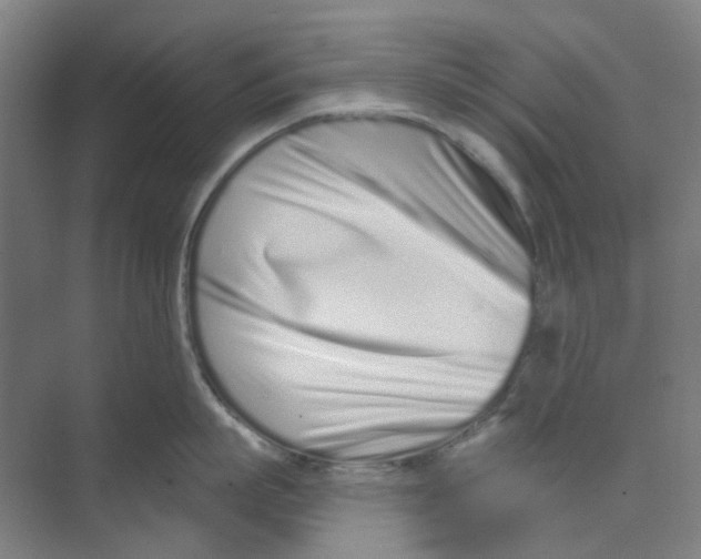 X0000074020863200609181859