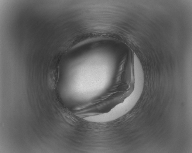 X0000074020868200609181858