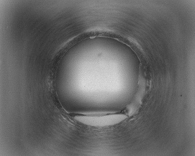 X0000074020872200609181858