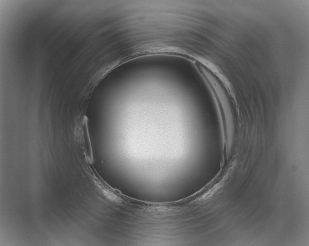 X0000074020897200609181858