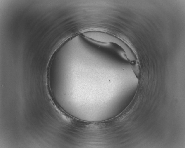 X0000074020898200609181857