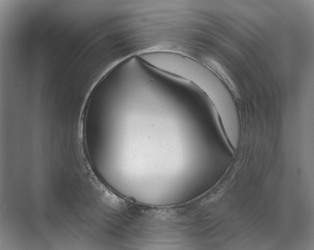 X0000074020900200609181857