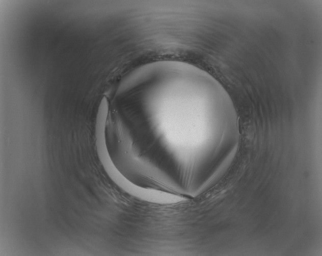 X0000074020916200609181857
