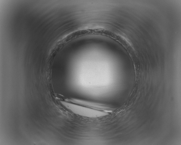 X0000074020920200609181857