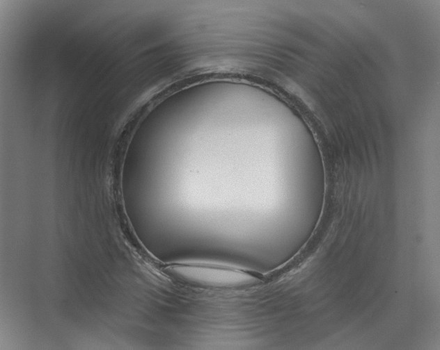 X0000074020922200609181857