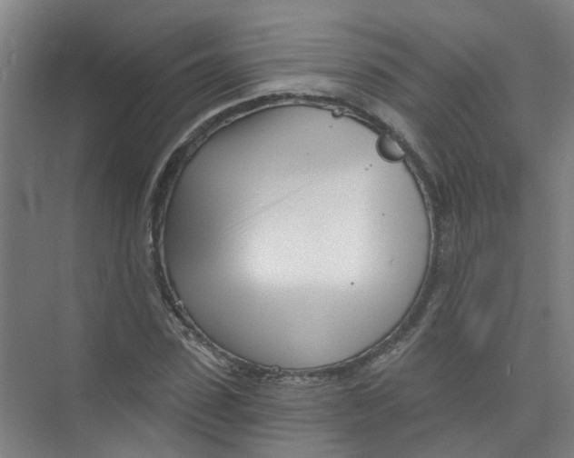 X0000074020923200609181857