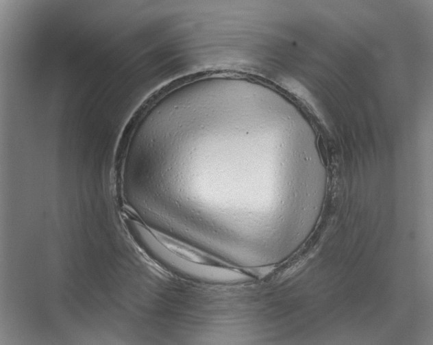X0000074020924200609181857