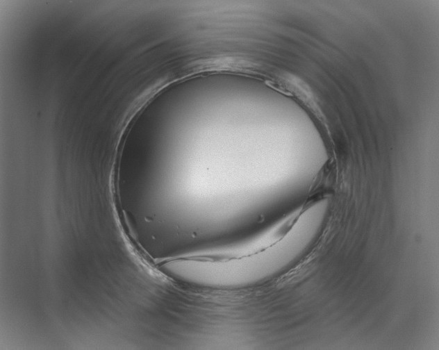 X0000074020946200609181857