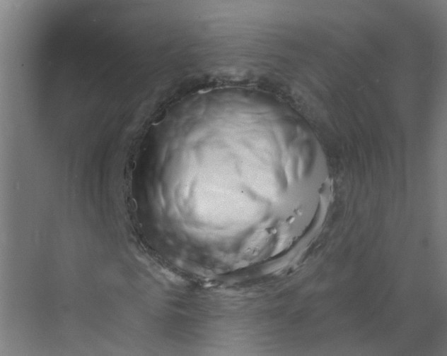 X0000074020961200609181856