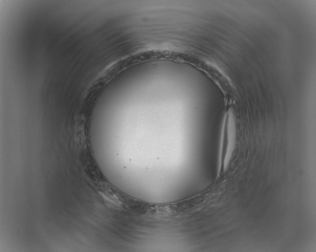 X0000074020968200609181856