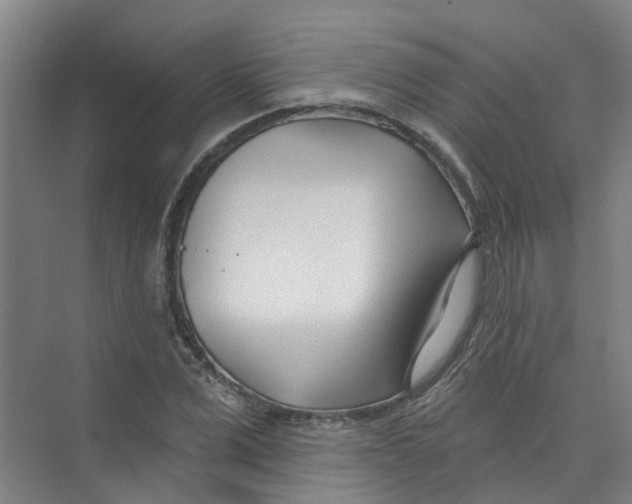 X0000074020975200609181856