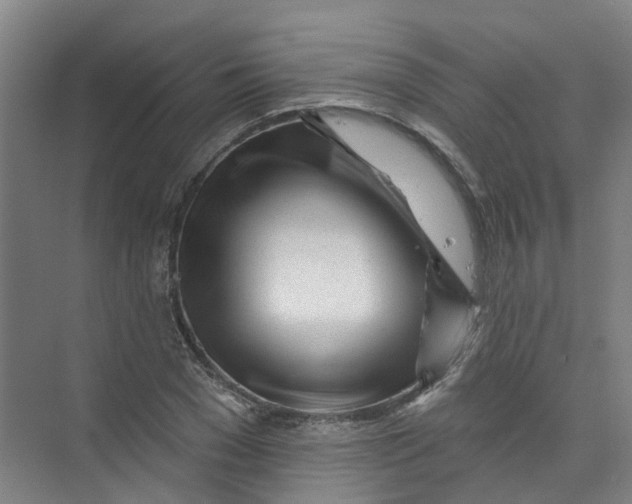 X0000074020977200609181856