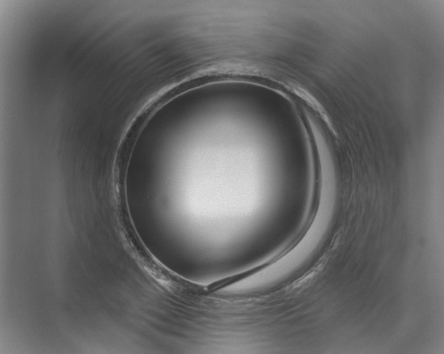 X0000074020981200609181856