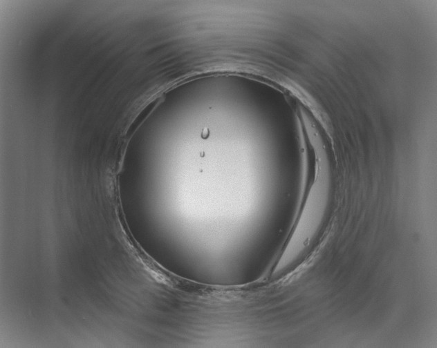 X0000074020993200609181856
