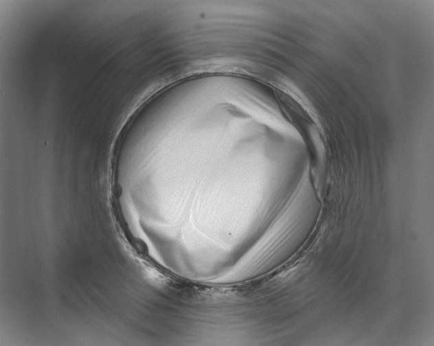 X0000074020994200609181856