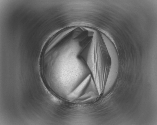 X0000074020995200609181856