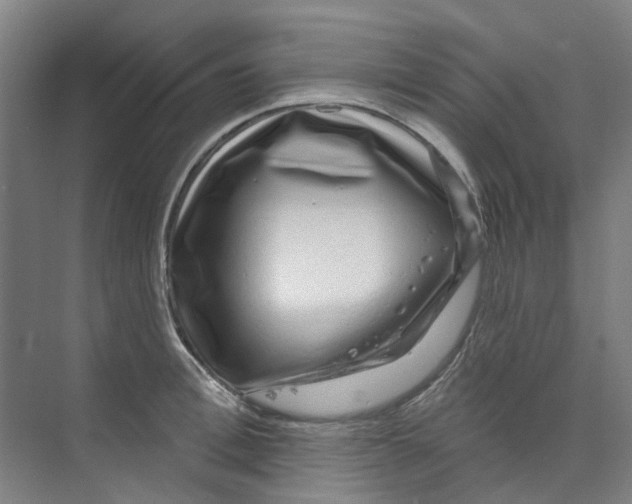 X0000074020996200609181856