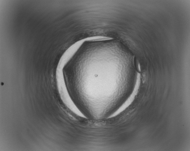 X0000074021011200609181855