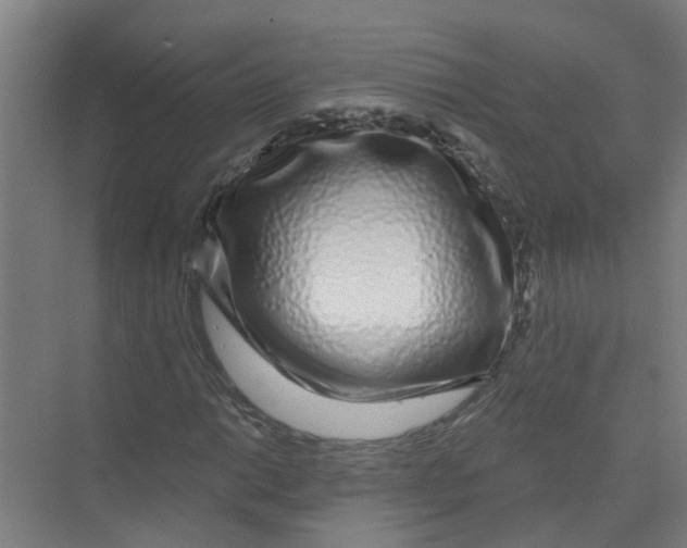 X0000074021014200609181855