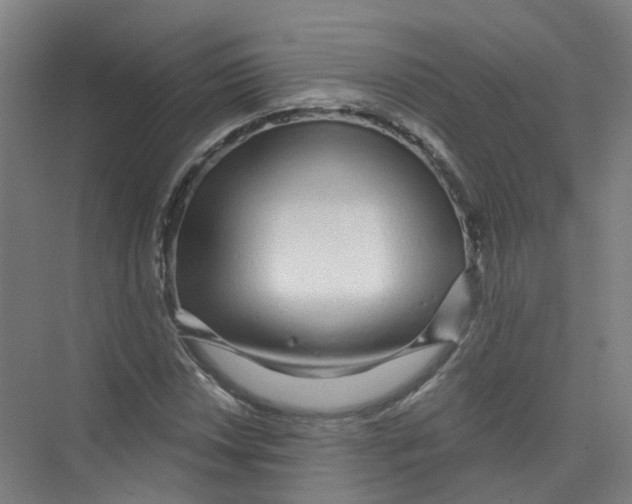 X0000074021018200609181855