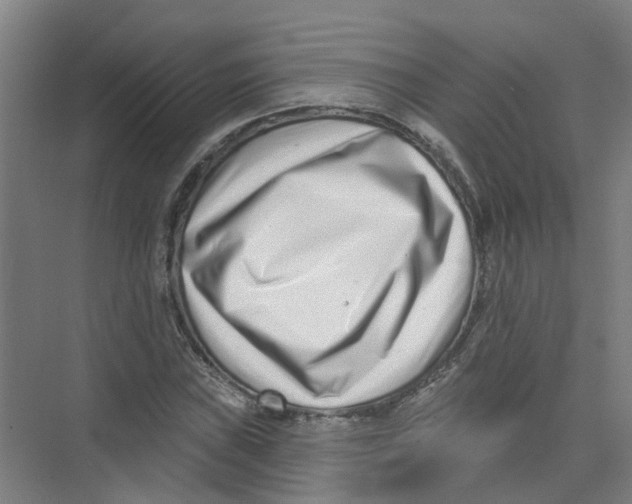 X0000074021019200609181855