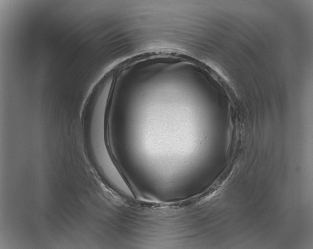 X0000074021022200609181855