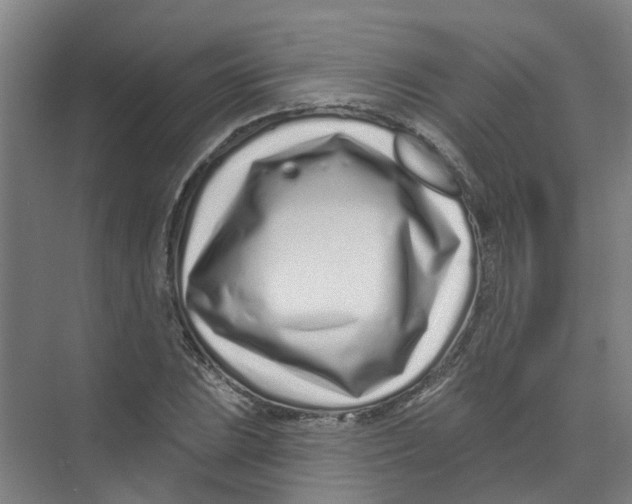 X0000074021023200609181855