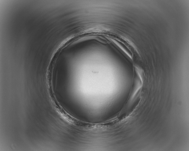 X0000074021026200609181855