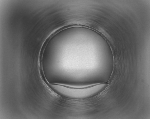 X0000074021028200609181855