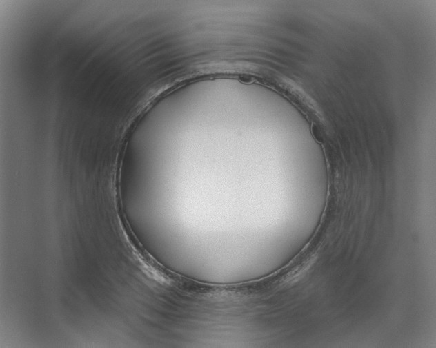 X0000074021033200609181855