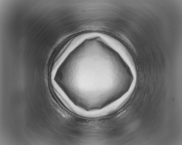 X0000074021035200609181855