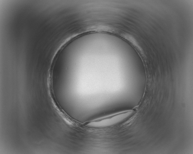 X0000074021040200609181855