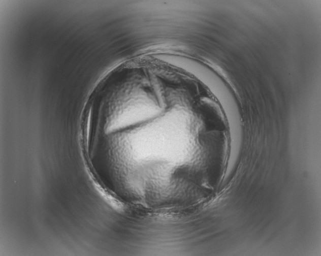 X0000074021042200609181855