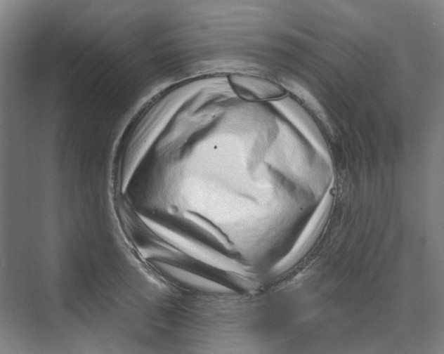 X0000074021043200609181855