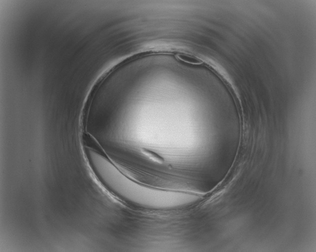 X0000074021045200609181855