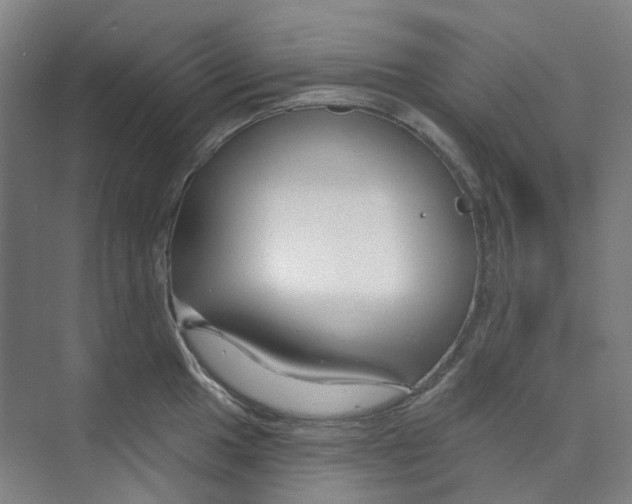 X0000074021049200609181856