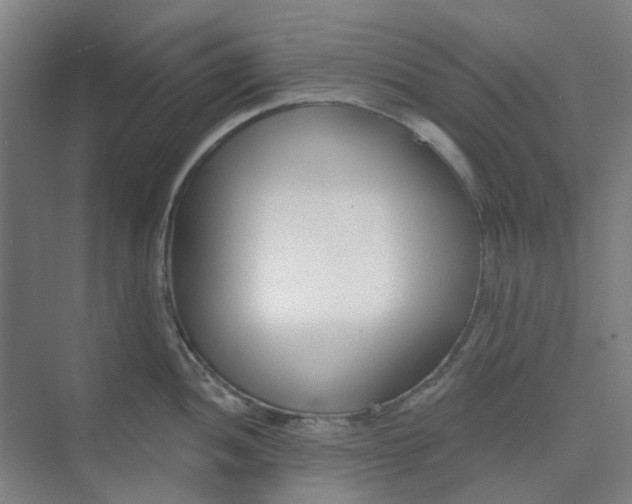 X0000074021052200609181856