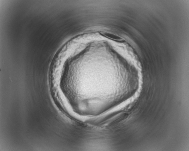 X0000074021055200609181856