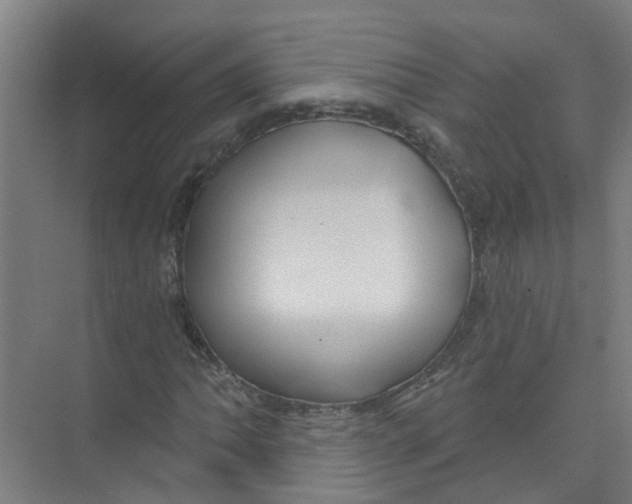 X0000074021062200609181855