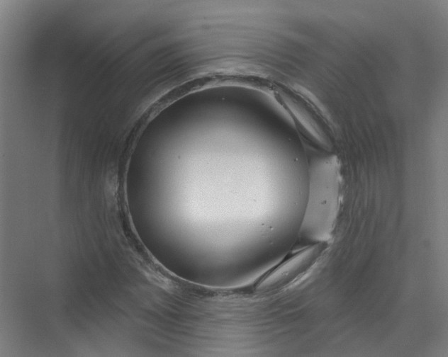 X0000074021065200609181855