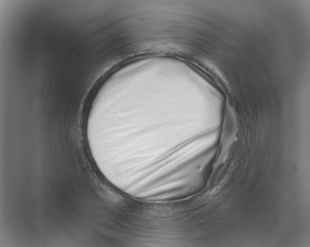 X0000074021071200609181855