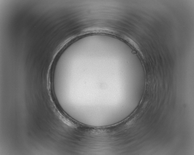 X0000074021082200609181854