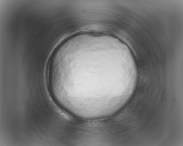 X0000074021091200609181854