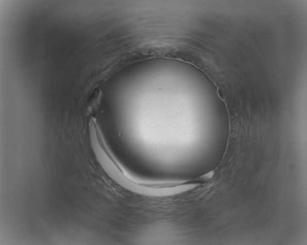 X0000074021109200609181853