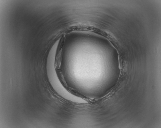 X0000074021110200609181853