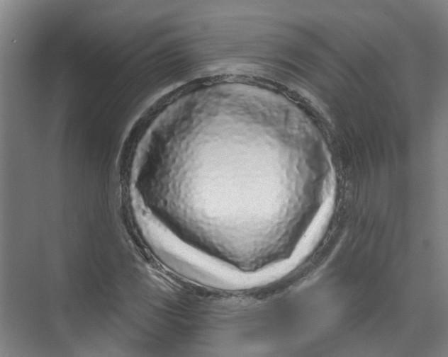 X0000074021117200609181853